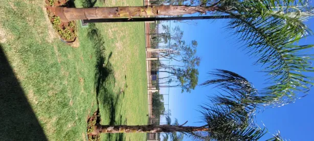 Lote/Terreno à venda, 308m² no Residencial Alto do Castelo, Ribeirão Preto