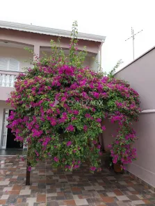 Sobrado com 3 Quartos à venda, 174m² no Parque Via Norte, Campinas