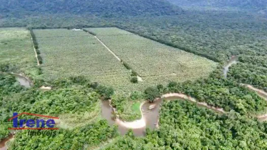 Fazenda/Sítio à venda, 961000m² no Tropical, Itanhaém
