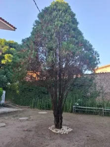 Casa com 5 Quartos para alugar, 290m² no Candeias, Jaboatão dos Guararapes