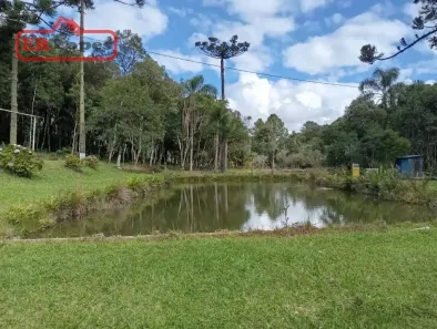 Fazenda/Sítio com 3 Quartos à venda, 25000m² no Borda do Campo, São José dos Pinhais