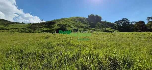Fazenda/Sítio à venda, 137100m² no Centro, Guaratinguetá