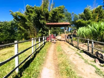 Fazenda/Sítio com 4 Quartos à venda, 250m² no Caracóis de Baixo, Esmeraldas
