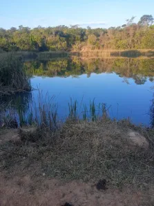 Fazenda/Sítio com 2 Quartos à venda, 32000000m² no Girassol, Cocalzinho de Goiás