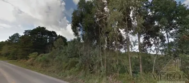 Imóvel Comercial à venda, 32000m² no Forqueta, Caxias do Sul