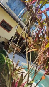 Casa com 1 Quarto à venda, 130m² no Laranjal, Pelotas