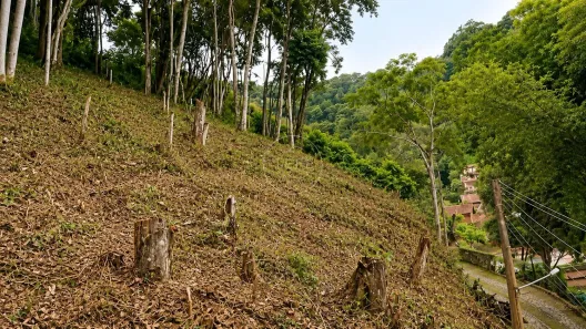 Lote/Terreno à venda, 1112m² no Itaipava, Petrópolis