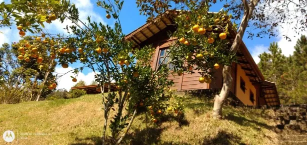 Fazenda/Sítio com 3 Quartos à venda, 220953m² no , Alfredo Chaves
