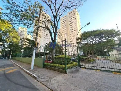 Apartamento com 2 Quartos para alugar, 50m² no Vila Irmãos Arnoni, São Paulo