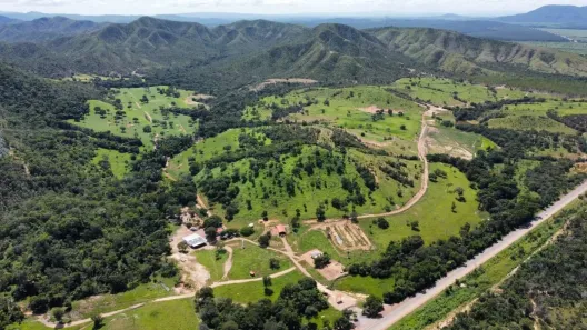 Fazenda/Sítio com 6 Quartos à venda, 5082000m² no ZONA RUAL, Vila Propício
