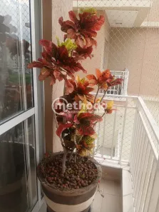 Apartamento com 2 Quartos à venda, 57m² no Jardim Monte Verde, Valinhos