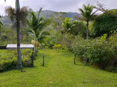 Fazenda/Sítio com 1 Quarto à venda, 42000m² no Centro, São José da Vitória