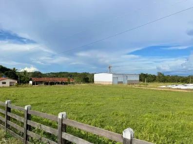 Fazenda/Sítio com 4 Quartos à venda, 10648000m² no , Figueirópolis