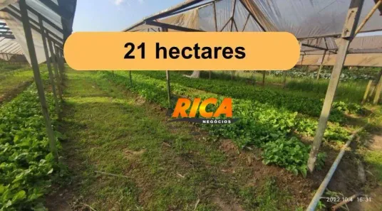 Fazenda/Sítio à venda, 210000m² no Área Rural de Porto Velho, Porto Velho