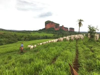 com 3 Quartos à venda, 800m² no , São José do Povo