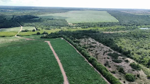 Fazenda/Sítio com 2 Quartos à venda, 1250000m² no , São José de Mipibu