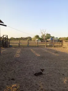 com 2 Quartos à venda, 120m² no , Nossa Senhora do Livramento