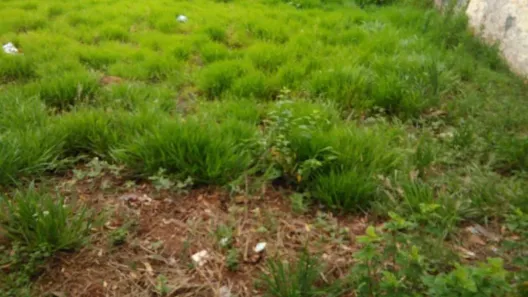 Lote/Terreno à venda, 514m² no Atibaia Jardim, Atibaia