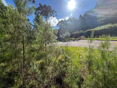 Lote/Terreno à venda, 609m² no Dutra, Gramado