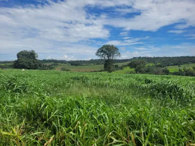 Fazenda/Sítio à venda, 750000m² no Trevo do José Rosário, Leopoldo de Bulhões