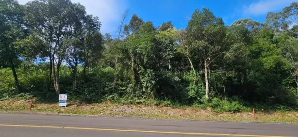 Lote/Terreno à venda, 1558m² no Serra Grande Italiana, Gramado