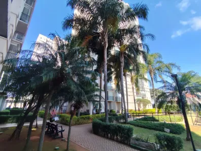 Apartamento com 2 Quartos à venda, 50m² no Vila Antonieta, São Paulo