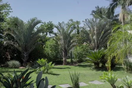 Casa com 4 Quartos à venda, 246m² no Fundos, Biguaçu