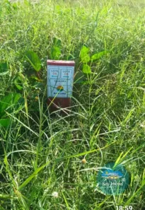 Lote/Terreno à venda, 250m² no Monte Alto, Arraial do Cabo