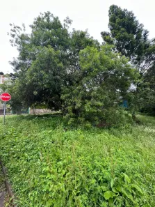 Lote/Terreno à venda, 900m² no Vila Maggi, Canela