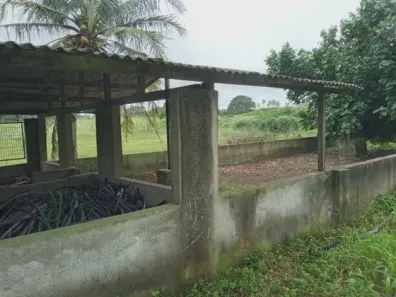 Fazenda/Sítio com 3 Quartos à venda, 11000m² no , Monte Alegre