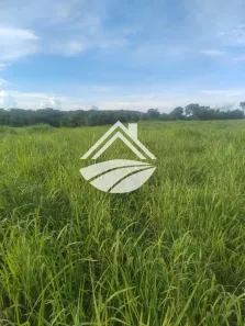 Fazenda/Sítio à venda, 4690000m² no , Figueirópolis