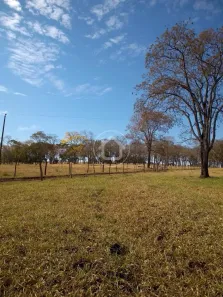 Fazenda/Sítio com 1 Quarto à venda, 1100m² no Centro, Sidrolândia