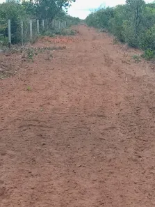 Fazenda/Sítio à venda, 179000000m² no Roda Velha, São Desidério