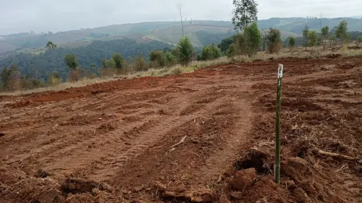Lote/Terreno à venda, 500m² no Colégio, Ibiúna