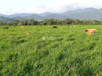 Fazenda/Sítio à venda, 2070000m² no , Paulo Lopes