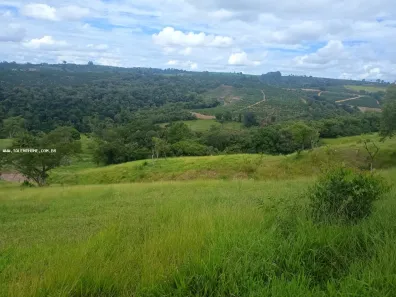 Fazenda/Sítio à venda, 120000m² no Lavrinha, Pinhalão