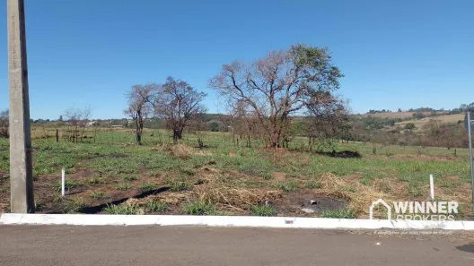 Lote/Terreno à venda, 250m² no , Araruna