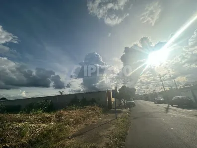Lote/Terreno à venda, 435m² no Jardim Nova Santa Paula, São Carlos