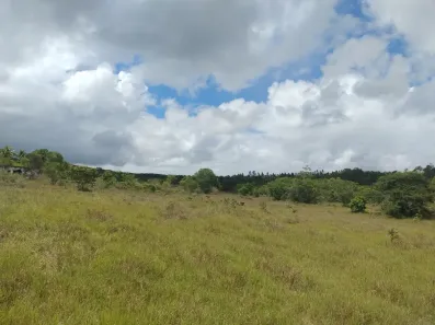 Fazenda/Sítio à venda, 248292m² no Centro, Alagoinhas