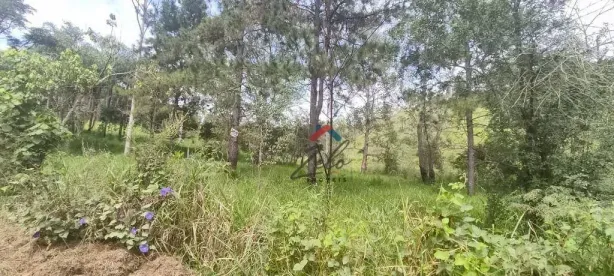 Lote/Terreno à venda, 3500m² no Chácara Ivoturucaia, Campo Limpo Paulista