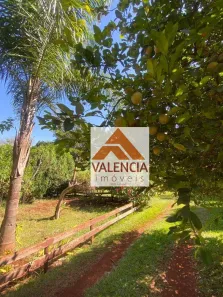 Fazenda/Sítio com 5 Quartos à venda, 5000m² no Bonfim Paulista, Ribeirão Preto