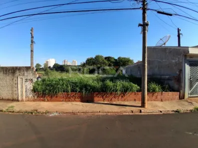 Lote/Terreno à venda, 290m² no Jardim São Carlos, São Carlos