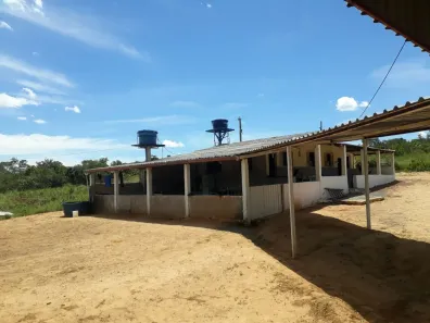 Fazenda/Sítio com 5 Quartos à venda, 10000m² no , Buritis
