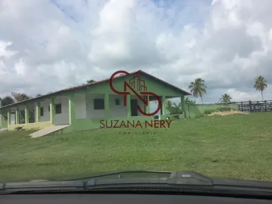 Fazenda/Sítio com 3 Quartos à venda, 37000m² no , Nísia Floresta