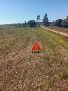 Fazenda/Sítio à venda, 60000m² no Portal da Serra, São Pedro