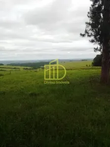 Fazenda/Sítio à venda, 10m² no Barra Alegre, Riversul