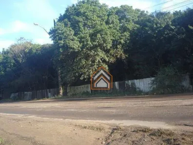 Lote/Terreno à venda, 332365m² no Tijuca, Alvorada
