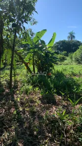 Fazenda/Sítio à venda, 5597m² no Área Rural de Hidrolândia, Hidrolândia