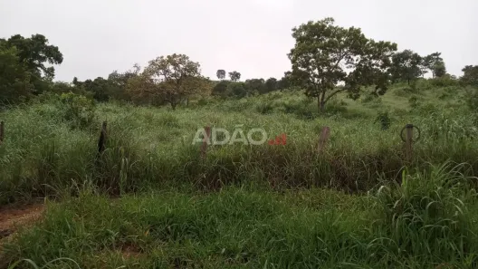 Fazenda/Sítio à venda, 11721m² no , Rianápolis