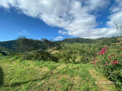 Lote/Terreno à venda, 2330m² no Pedro do Rio, Petrópolis